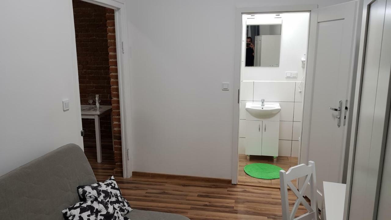 Apartament Nr 15 - 2 Pokoje Z Prywatnymi Lazienkami Centrum 波兹南 外观 照片